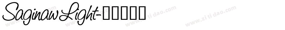 Saginaw Light字体转换